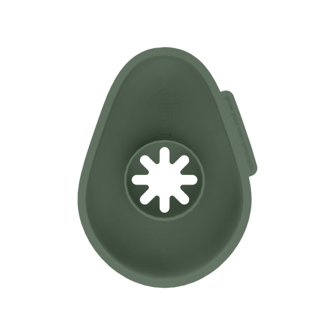 amazing avocado floater leaf green